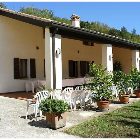 Volpara 무솔렌테