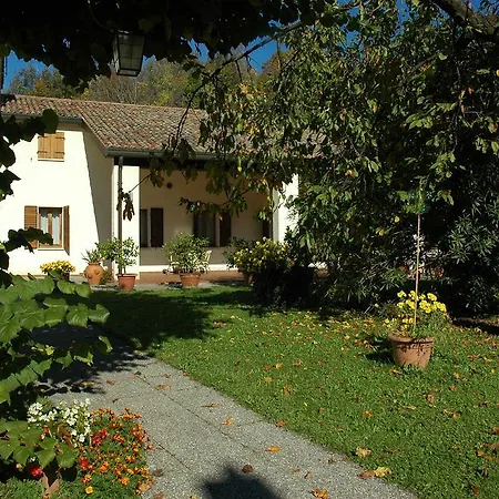 Volpara Otel