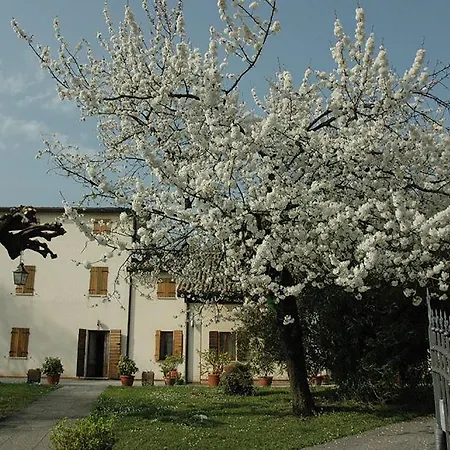 Volpara 2* Mussolente